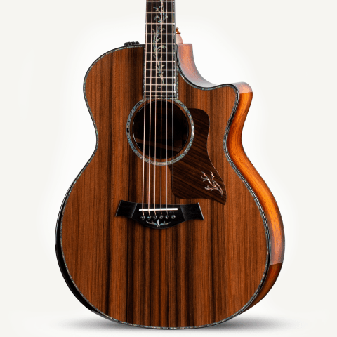 Search Results | Taylor Guitars